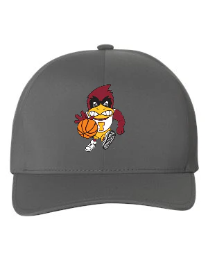 Basketball Cy Flexfit Delta Cap - Image 3