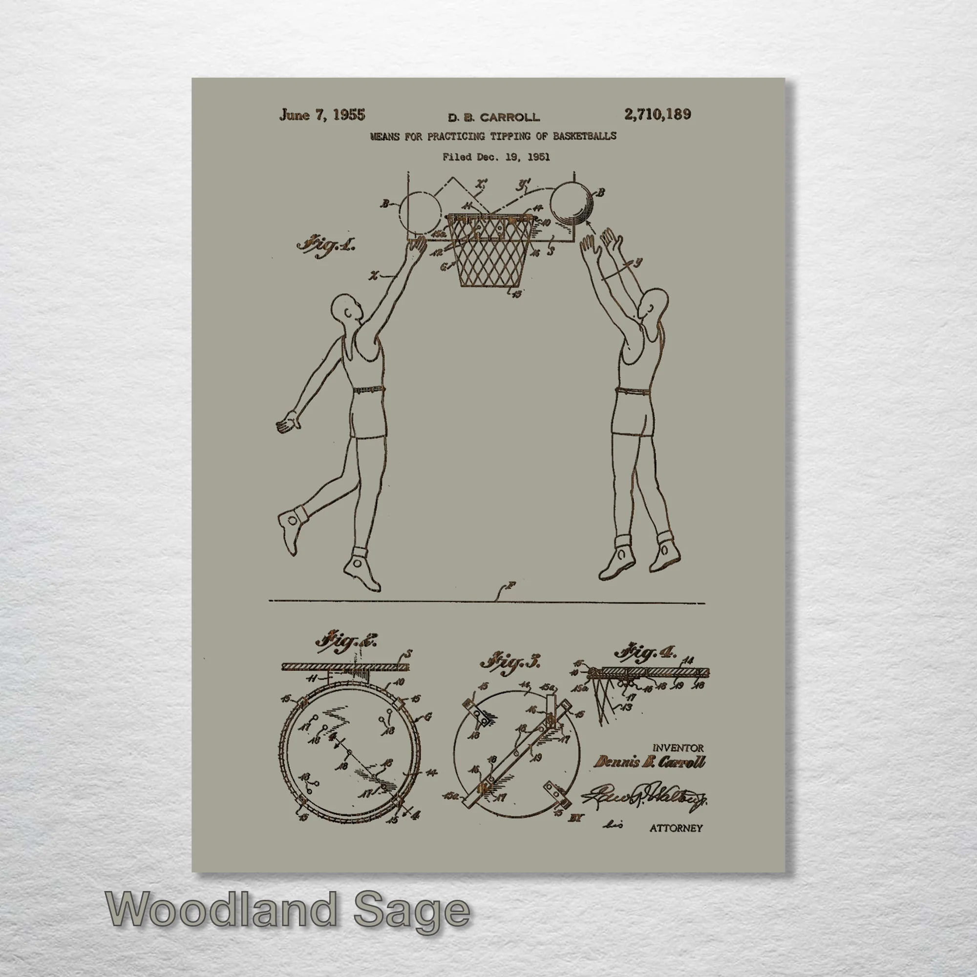 Basketball Practice of Tipping - Image 6