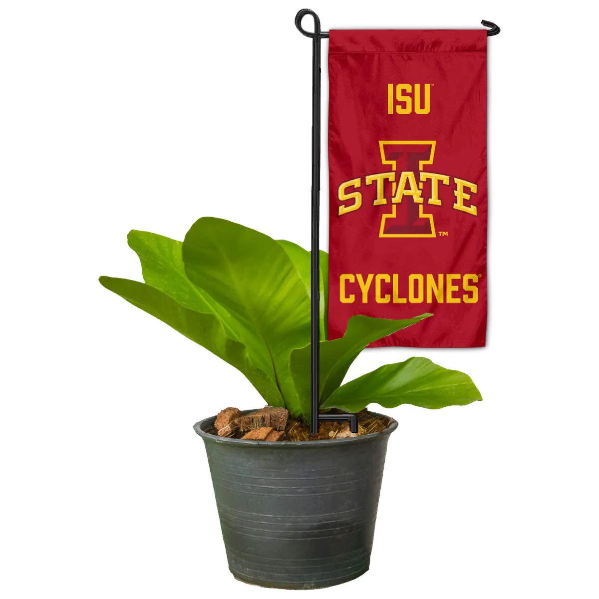College Flags & Banners Co. Iowa State Cyclones Mini Garden and Flower Pot Flag Topper - Image 5