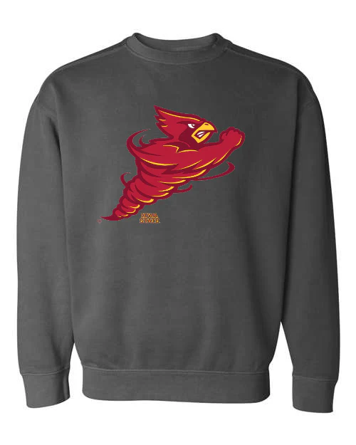 Cynado Iowa State Pigment-Dyed Crewneck Sweatshirt - Image 4