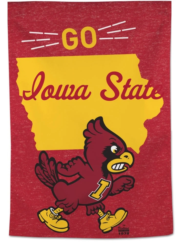 Go Iowa State Flag Vintage Cy House Banner