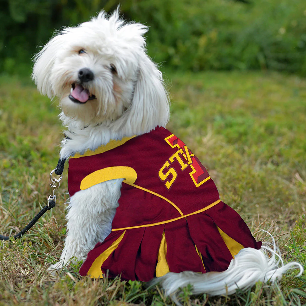 Iowa State Cheerleader Dog Dress Pets First - Image 2