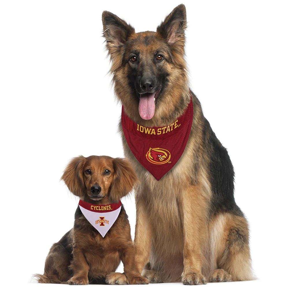 Iowa State Cyclones Reversible Bandana Pets First - Image 2