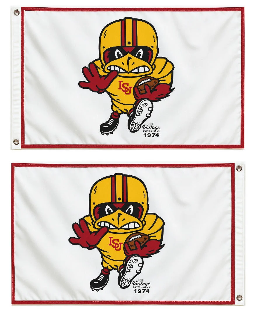 Iowa State Flag Vintage Cy 2 Sided 2x3
