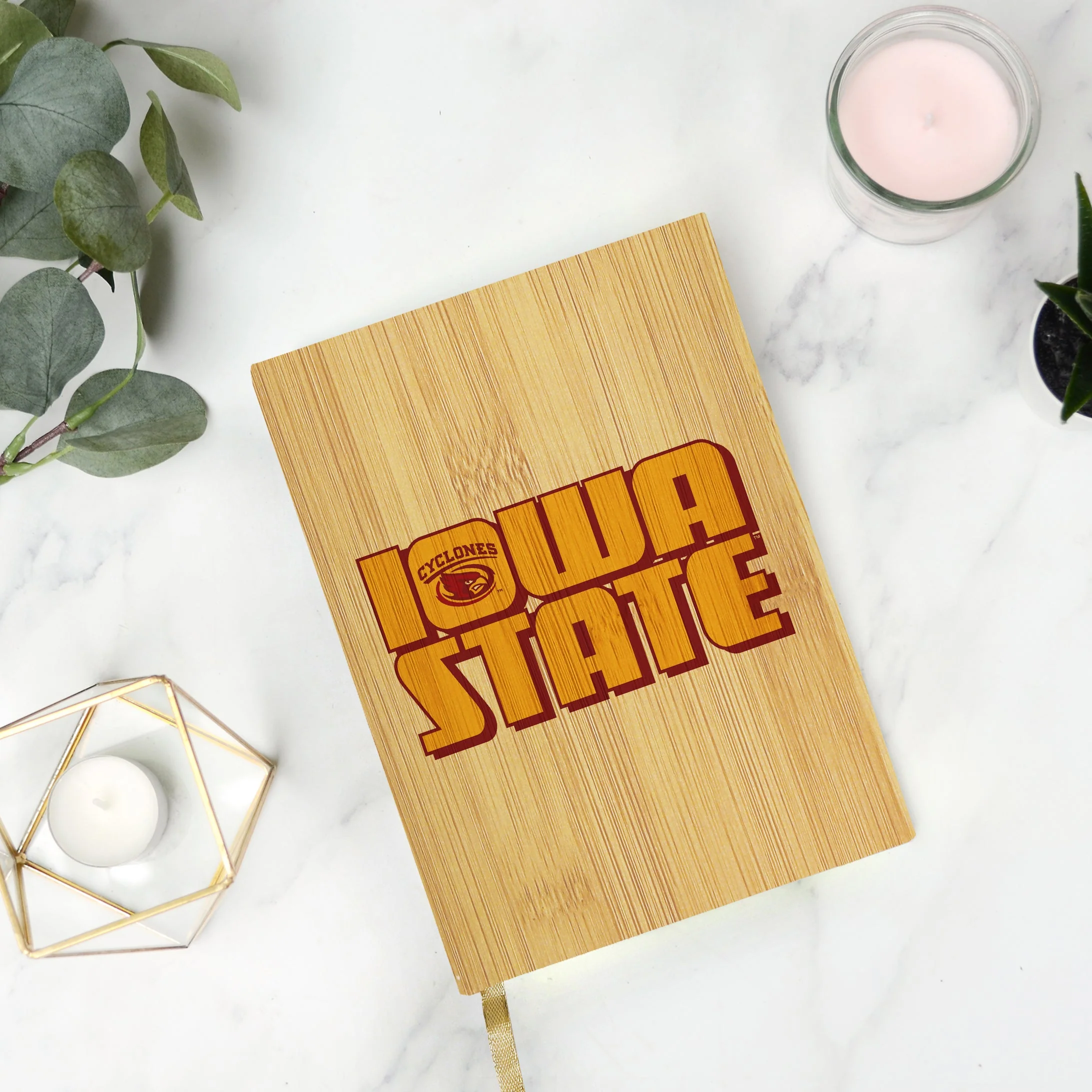 Retro Iowa State University Journal - Image 2