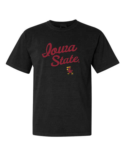 Vintage Iowa State Pigment-Dyed Short Sleeve Shirt - Image 4